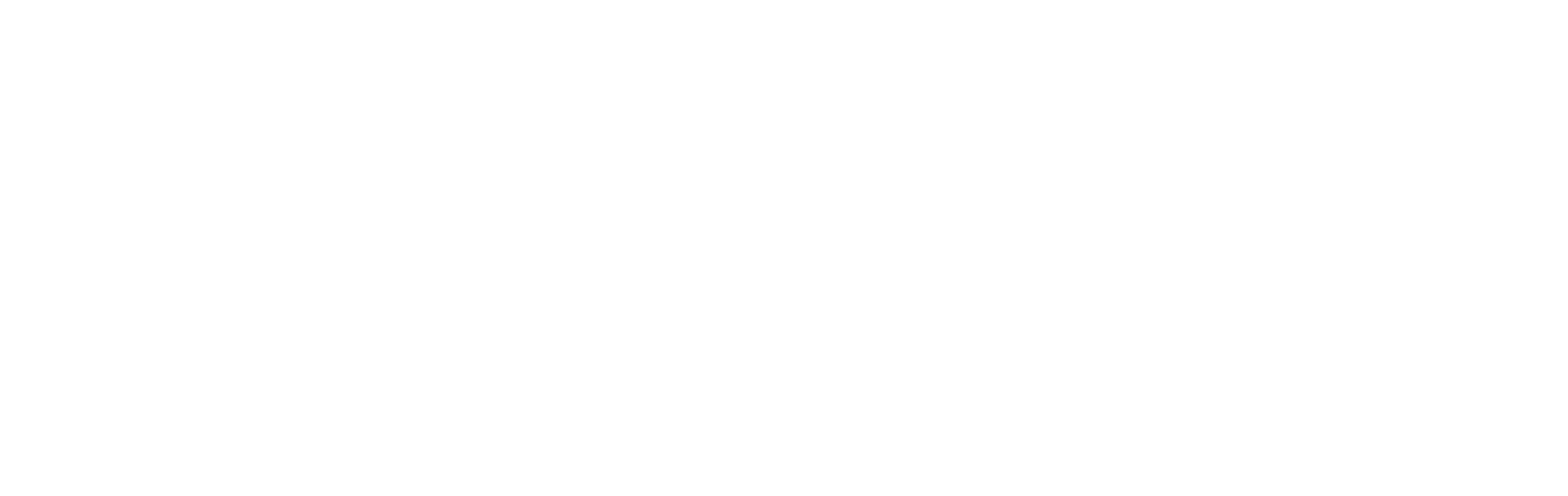 Trackwise Logo